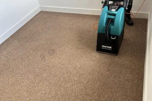 carpet cleaning telford