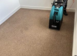 We provide Carpet Cleaning Services throughout Telford, Bridgnorth, Shrewsbury, Wolverhampton and the surrounding areas.